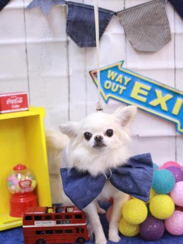 20230411りゅうくん